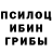 Галлюциногенные грибы Psilocybe Thomas Lardinois