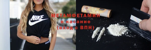 прущие грибы Верея